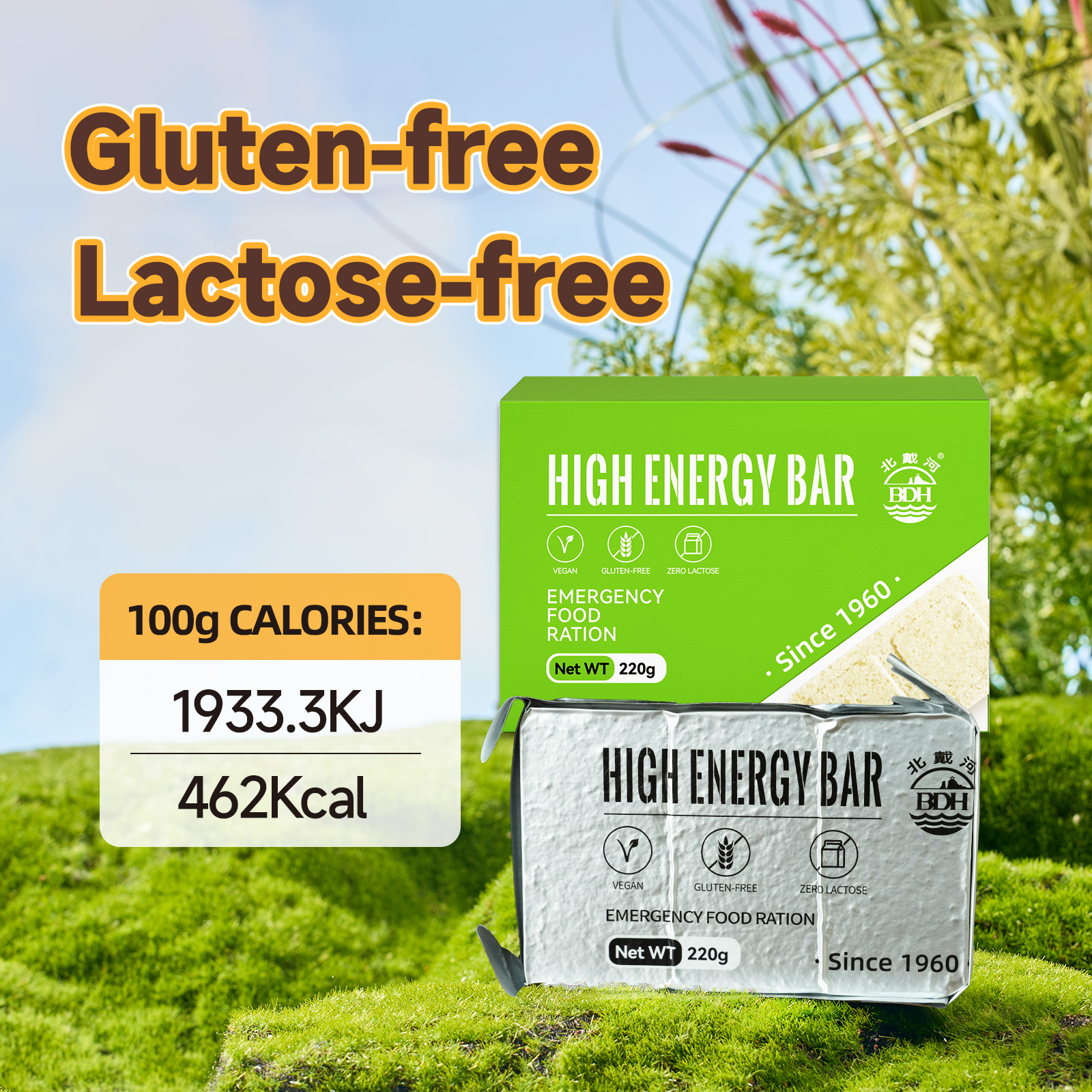 GLUTEN-FREE1