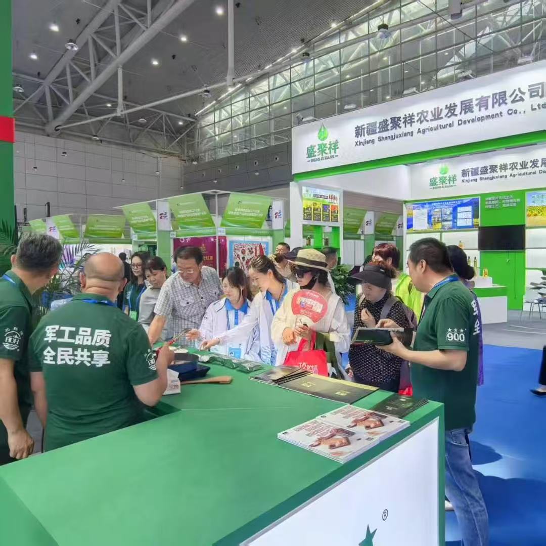 乌鲁木齐展 (4)