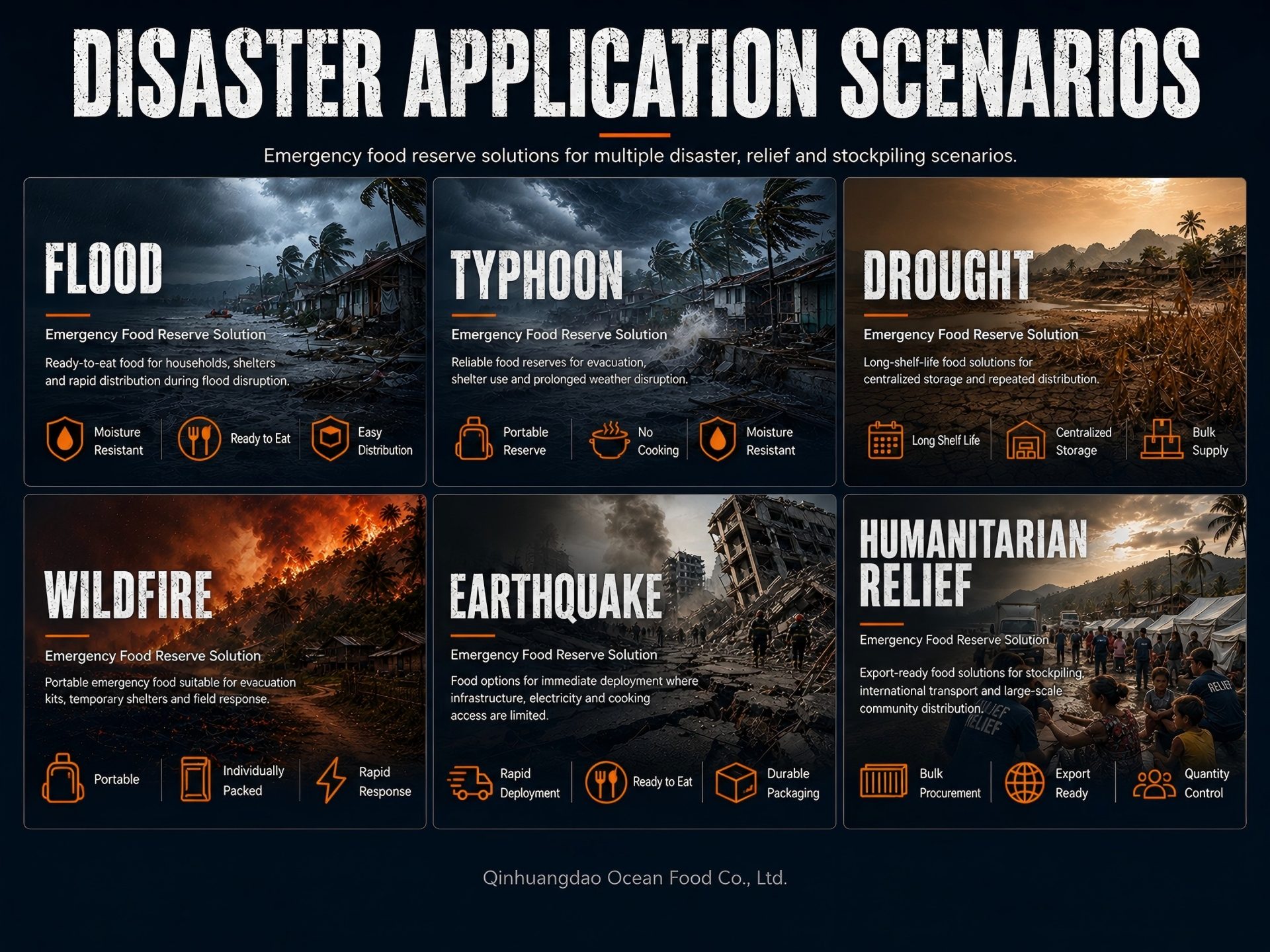 Professional Emergency Food Solutions for Global Disaster Preparedness (3)